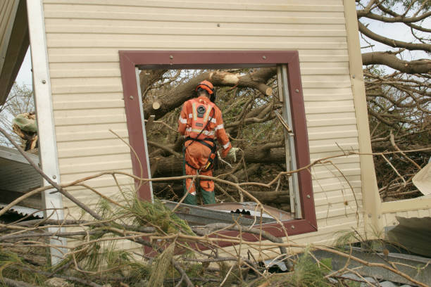 Best Tree Cabling and Bracing  in Lee Acres, NM